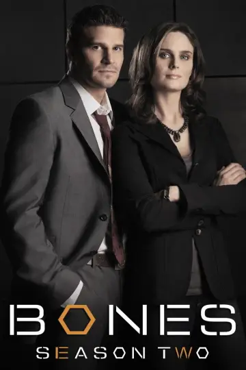 Poster for the TV series "Bones" #1259373