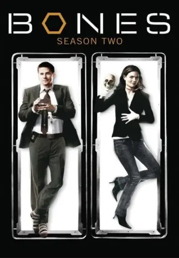 Poster for the TV series "Bones" #1259380