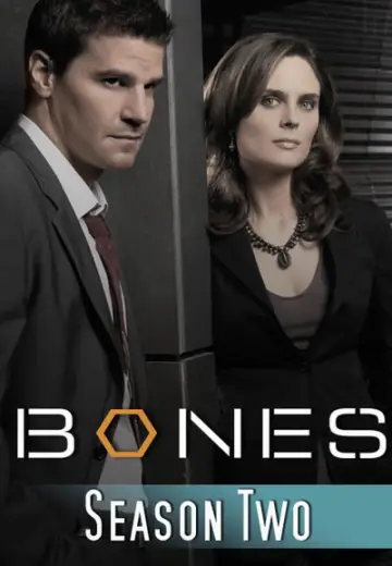Poster for the TV series "Bones" #1259381