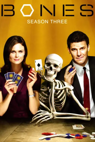 Poster for the TV series "Bones" #1259388