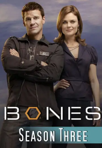 Poster for the TV series "Bones" #1259389
