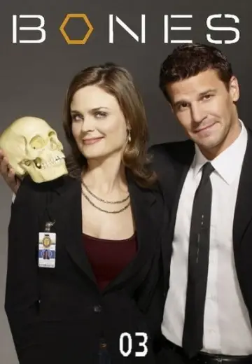 Poster for the TV series "Bones" #1259390