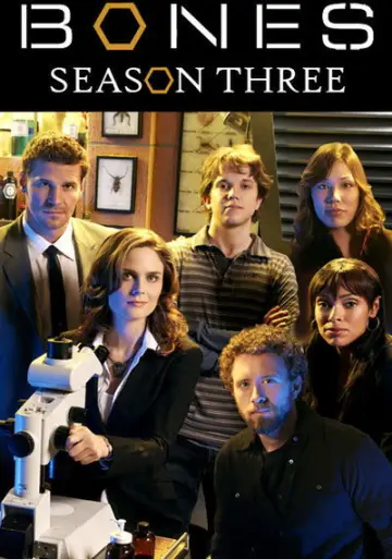 Poster for the TV series "Bones" #1259392