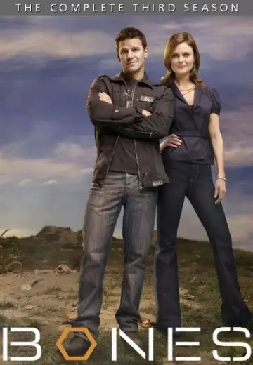 Poster for the TV series "Bones" #1259397