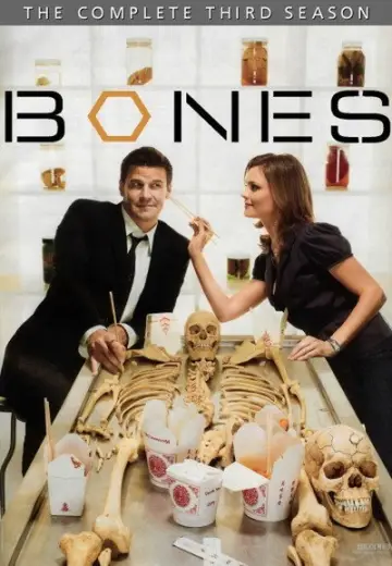 Poster for the TV series "Bones" #1259401
