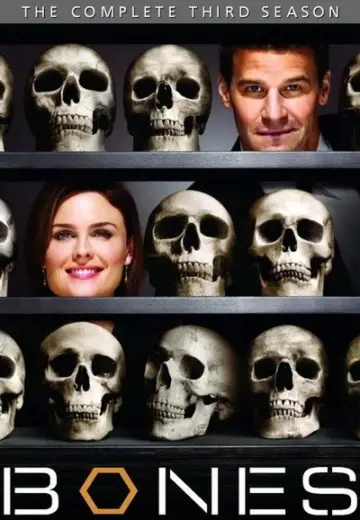 Poster for the TV series "Bones" #1259404