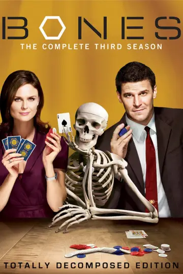 Poster for the TV series "Bones" #1259406
