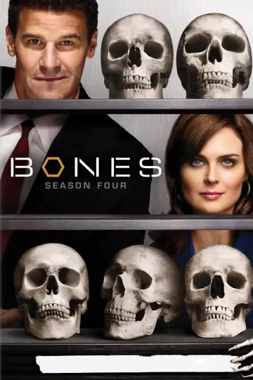 Poster for the TV series "Bones" #1259412