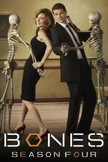 Poster for the TV series "Bones" #1259414