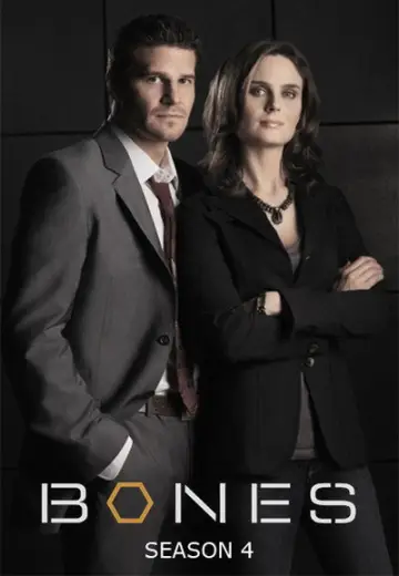 Poster for the TV series "Bones" #1259417