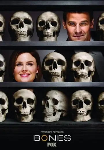 Poster for the TV series "Bones" #1259419