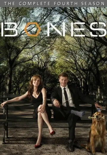 Poster for the TV series "Bones" #1259422