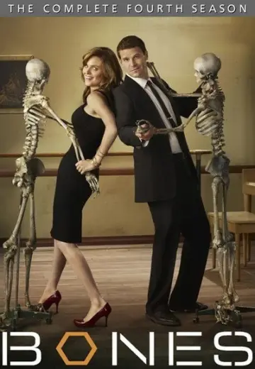 Poster for the TV series "Bones" #1259425