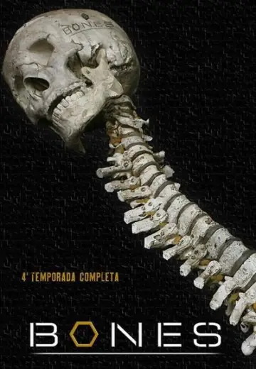Poster for the TV series "Bones" #1259437