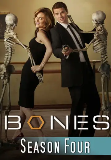 Poster for the TV series "Bones" #1259439