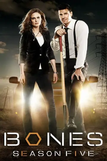 Poster for the TV series "Bones" #1259445