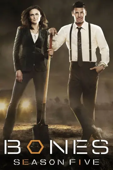 Poster for the TV series "Bones" #1259449