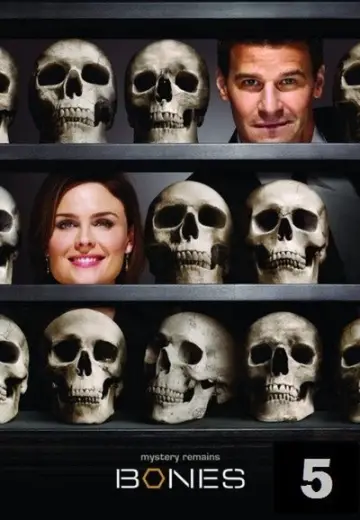 Poster for the TV series "Bones" #1259453
