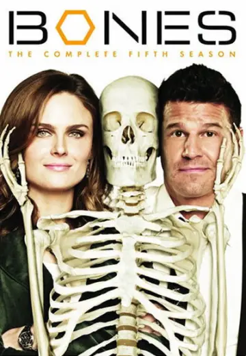 Poster for the TV series "Bones" #1259454