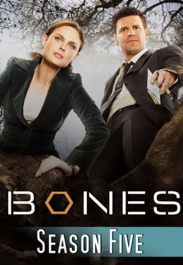 Poster for the TV series "Bones" #1259456