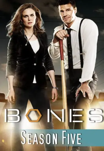 Poster for the TV series "Bones" #1259457