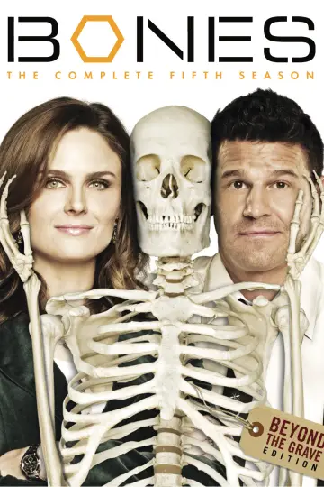 Poster for the TV series "Bones" #1259459