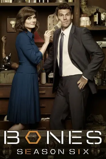 Poster for the TV series "Bones" #1259466