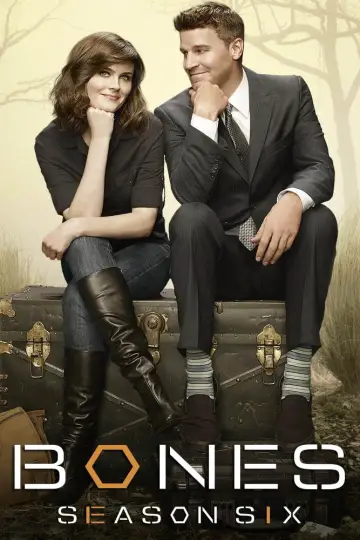 Poster for the TV series "Bones" #1259468