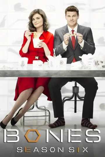 Poster for the TV series "Bones" #1259473