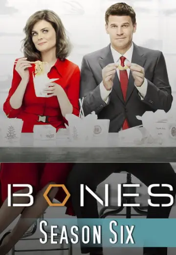 Poster for the TV series "Bones" #1259477