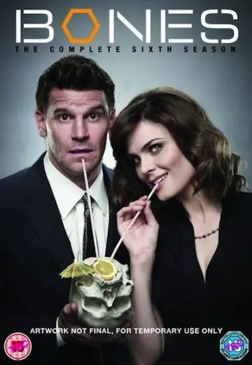Poster for the TV series "Bones" #1259481