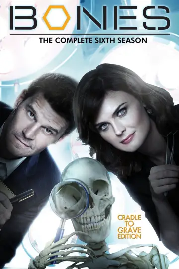 Poster for the TV series "Bones" #1259483