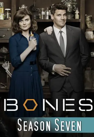 Poster for the TV series "Bones" #1259488