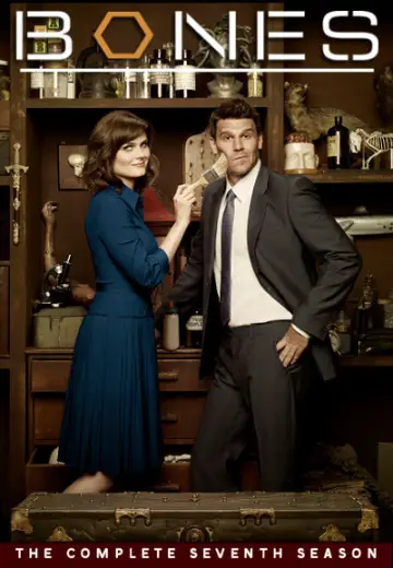 Poster for the TV series "Bones" #1259489