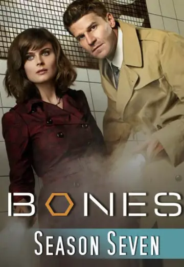 Poster for the TV series "Bones" #1259490