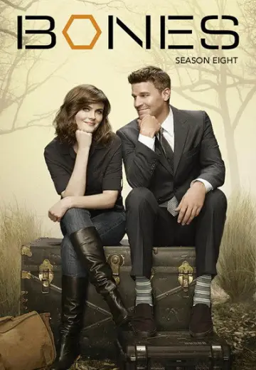 Poster for the TV series "Bones" #1259497