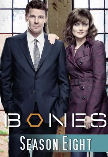 Poster for the TV series "Bones" #1259498