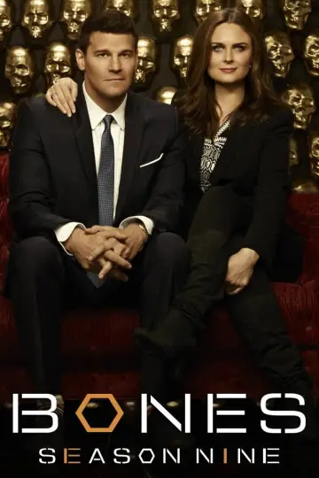 Poster for the TV series "Bones" #1259502
