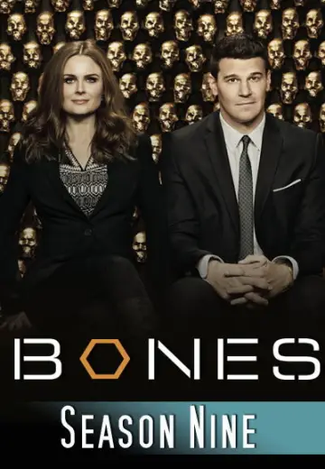 Poster for the TV series "Bones" #1259505