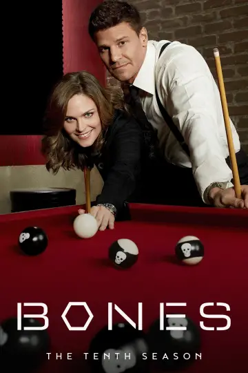 Poster for the TV series "Bones" #1259508