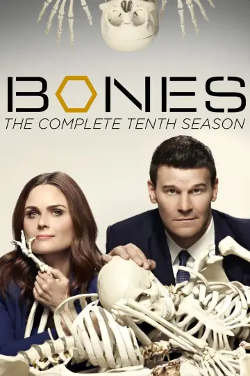 Poster for the TV series "Bones" #1259509