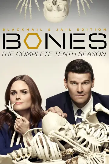 Poster for the TV series "Bones" #1259513