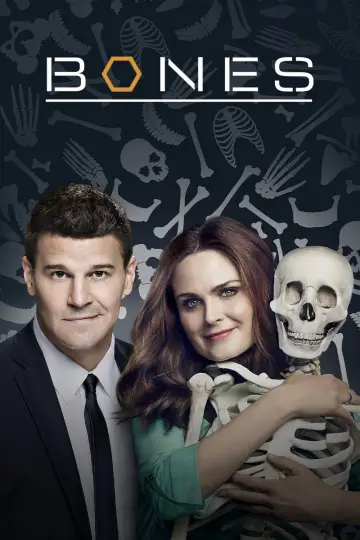 Poster for the TV series "Bones" #1259514