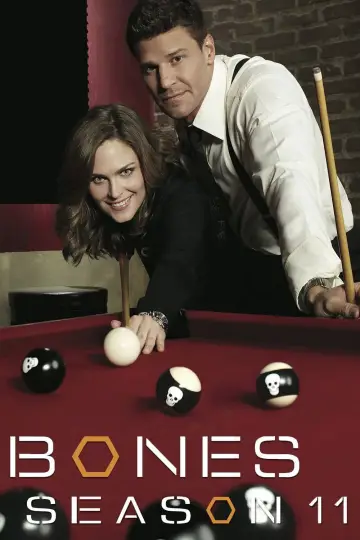 Poster for the TV series "Bones" #1259519