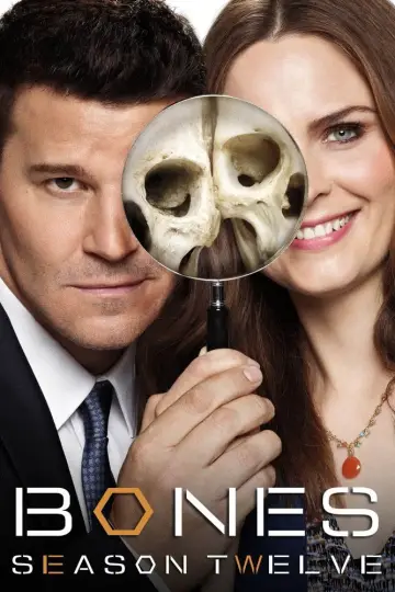 Poster for the TV series "Bones" #1259524