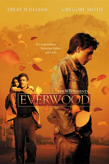 Poster к сериалу "Everwood" #1286169