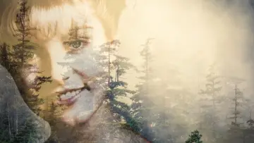 Backdrop for the TV series "Twin Peaks" #1274601