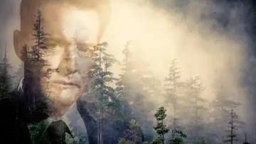 Backdrop for the TV series "Twin Peaks" #1274618