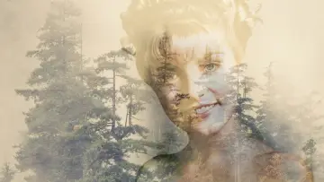 Backdrop for the TV series "Twin Peaks" #1274654