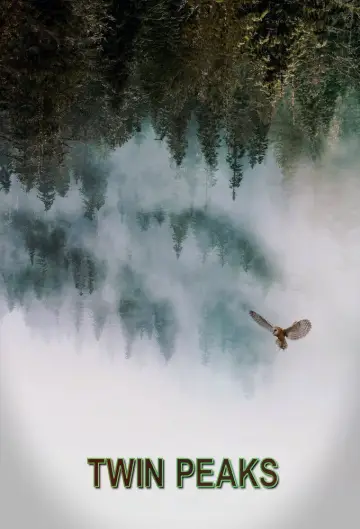 Poster for the TV series "Twin Peaks" #1274729